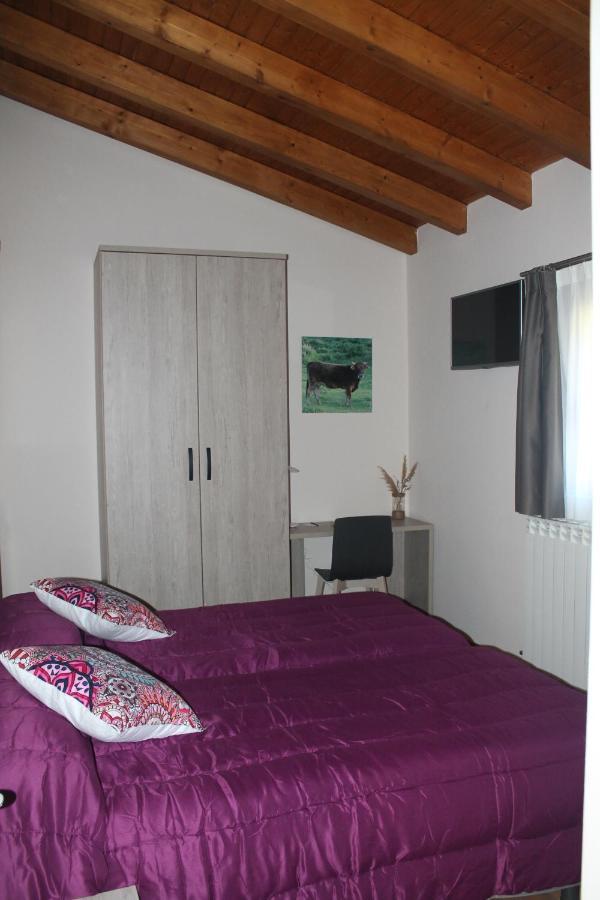 Hotel Rural Rio Molinar Ranera エクステリア 写真