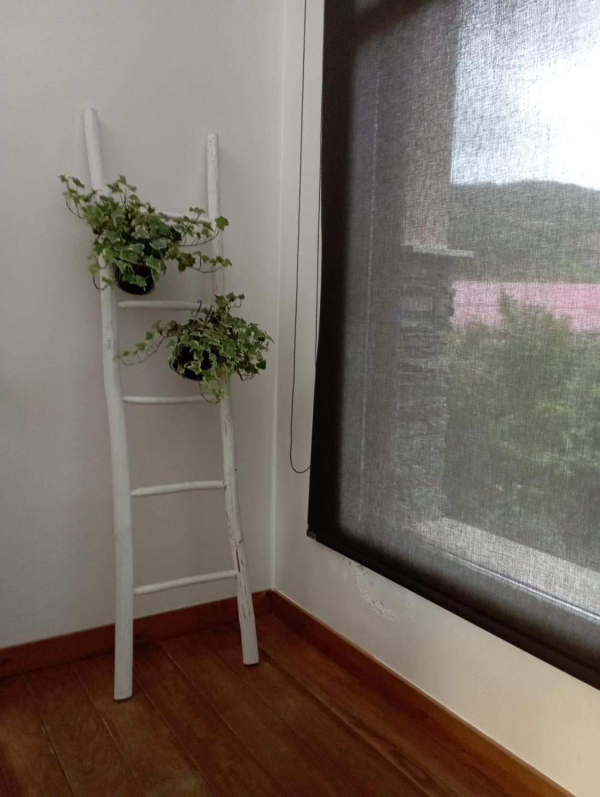 Hotel Rural Rio Molinar Ranera エクステリア 写真